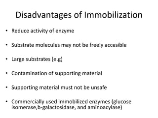Disadvantages of Immobilization
• Reduce activity of enzyme
• Substrate molecules may not be freely accesible
• Large substrates (e.g)
• Contamination of supporting material
• Supporting material must not be unsafe
• Commercially used immobilized enzymes (glucose
isomerase,b-galactosidase, and aminoacylase)
 