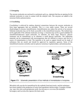 3. Entrapping
The enzyme molecules are enclosed in a polymeric gel (e.g., alginate) that has an opening for the
substrate molecules to come in contact with the catalytic sites. The enzymes are added to the
monomer before polymerization.
4. Crosslinking
Crosslinking is achieved by making chemical connections between the enzyme molecules to
form large aggregates that are insoluble. This is a very stable system. There are several
disadvantages in enzyme immobilization. Immobilization can reduce the activity of an enzyme.
Substrate molecules may not be freely accessible to the immobilized enzymes. The method may
not be applicable if the substrate molecules are large. a-Amylase may not be a good candidate for
immobilizationbecause starch molecules, its substrate, are fairly large. However, glucose
isomerase can be immobilized, as its substrate is small glucose molecules. The supporting
materials can be contaminated with microorganisms that are difficult to remove and can be a
source of contamination in food. The materials to be used as support should not be made of
substances that are unsafe and should be approved by regulatory agencies. Some of the
immobilized enzymes currently used are glucose isomerase, b-galactosidase, and aminoacylase.
Microbial cells can also be immobilized by the methods listed previously, and the techniques
have been studied in the production of some food ingredients and beverages. Examples include
Asp. niger (for citric acid and gluconic acid), Saccharomyces cerevisiae (for alcoholic
beverages), and Lactobacillus species (for lactic acid).
 