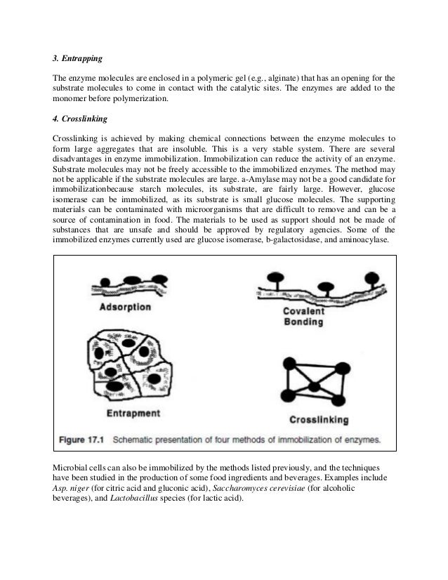 Microbial enzymes in_food_processing_notes