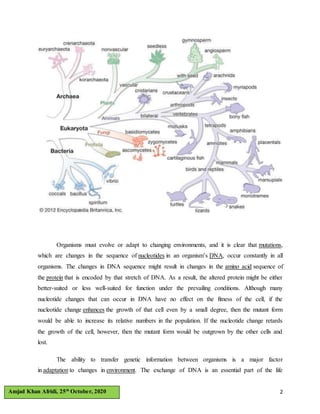 Archaea Definition, Characteristics, Examples Britannica, 54% OFF