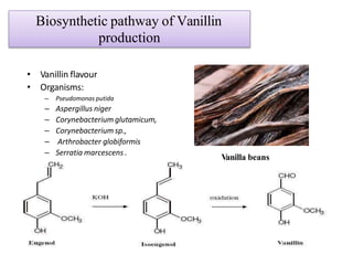 Synbio Vanillin microbialflavouuuuuurs-200605130258.pptx