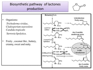 Biosynthetic pathway of lactones
production
• Organisms:
Trichoderma viridae,
Cladosporium suaveolens
Candida tropicalis
Yarrowia lipolytica.
• Fruity , coconut like , buttery,
creamy, sweet and nutty.
 