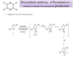 Biosynthetic pathway of Pyrazine((7R)-7-
methyl-6,7-dihydro-5H-cyclopenta) production
• Organism: Corynebacerium glutamicum.
 