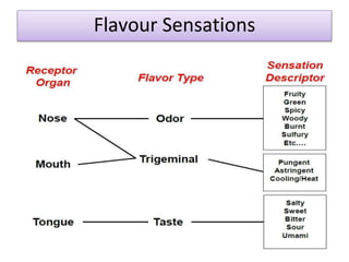 Flavour Sensations
 