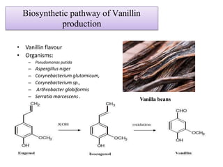 Biosynthetic pathway of Vanillin
production
• Vanillin flavour
• Organisms:
– Pseudomonas putida
– Aspergillus niger
– Corynebacterium glutamicum,
– Corynebacterium sp.,
– Arthrobacter globiformis
– Serratia marcescens .
Vanilla beans
 