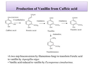Production of Vanillin from Caffeic acid
•A two step bioconversion by filamentous fungi to transform Ferulic acid
to vanillin by Aspergillus niger.
• Vanillic acid reduced to vanillin by Pycnoporous cinnabarinus.
 