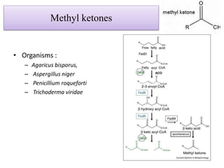 Methyl ketones
• Organisms :
– Agaricus bisporus,
– Aspergillus niger
– Penicillium roqueforti
– Trichoderma viridae
 