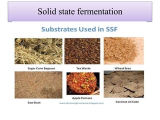 Solid state fermentation
 