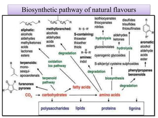 Biosynthetic pathway of natural flavours
 