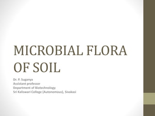 MICROBIAL FLORA
OF SOIL
Dr. P. Suganya
Assistant professor
Department of Biotechnology
Sri Kaliswari College (Autonomous), Sivakasi
 