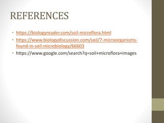 REFERENCES
• https://biologyreader.com/soil-microflora.html
• https://www.biologydiscussion.com/soil/7-microorganisms-
found-in-soil-microbiology/66603
• https://www.google.com/search?q=soil+microflora+images
 