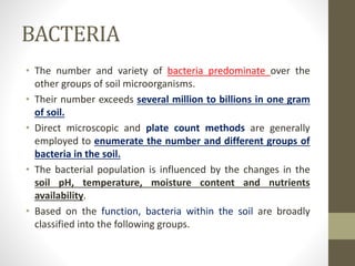BACTERIA
• The number and variety of bacteria predominate over the
other groups of soil microorganisms.
• Their number exceeds several million to billions in one gram
of soil.
• Direct microscopic and plate count methods are generally
employed to enumerate the number and different groups of
bacteria in the soil.
• The bacterial population is influenced by the changes in the
soil pH, temperature, moisture content and nutrients
availability.
• Based on the function, bacteria within the soil are broadly
classified into the following groups.
 