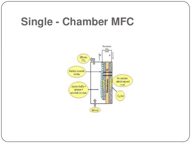 efficient energy harvester for microbial fuel Kapok offers new concept in microbial fuel cells harvesting energy from a materials today is a community dedicated to the creation and sharing of. efficient energy harvester for microbial fuel Kapok offers new concept in microbial fuel cells harvesting energy from a materials today is a community dedicated to the creation and sharing of.