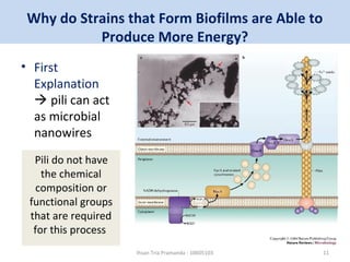 Why do Strains that Form Biofilms are Able to 
Produce More Energy? 
• First 
Explanation 
 pili can act 
as microbial 
nanowires 
Pili do not have 
the chemical 
composition or 
functional groups 
that are required 
for this process 
Ihsan Tria Pramanda - 10605103 11 
 