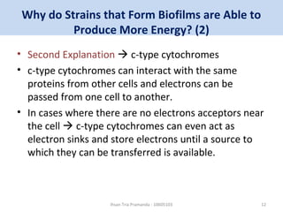 Why do Strains that Form Biofilms are Able to 
Produce More Energy? (2) 
• Second Explanation  c-type cytochromes 
• c-type cytochromes can interact with the same 
proteins from other cells and electrons can be 
passed from one cell to another. 
• In cases where there are no electrons acceptors near 
the cell  c-type cytochromes can even act as 
electron sinks and store electrons until a source to 
which they can be transferred is available. 
Ihsan Tria Pramanda - 10605103 12 
 