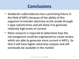 Conclusions 
• Geobacter sulfurreducens has a promising future in 
the field of MFCs because of the ability of this 
organism to transfer electrons to the anode through 
c-type cytochromes and pili allow it to generate 
relatively high levels of current. 
• More research is required to determine how the 
microorganism could be engineered to create strains 
which are able to generate more current in MFCs. So 
that it will have higher electricity outputs and will 
eventually be available in the market. 
Ihsan Tria Pramanda - 10605103 16 
 