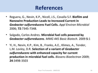 References 
• Reguera, G., Nevin, K.P., Nicoll, J.S., Covalla S.F. Biofilm and 
Nanowire Production Leads to Increased Current in 
Geobacter sulfurreducens Fuel Cells. Appl Environ Microbiol 
2006; 72:7345-7348. 
• Salgado, Carlos Andres. Microbial fuel cells powered by 
Geobacter sulfurreducens. MMG 445 Basic Biotech. 2009 5:1 
• Yi, H., Nevin, K.P., Kim, B., Franks, A.E., Klimes, A., Tender, 
L.M. Lovley, D.R. Selection of a variant of Geobacter 
sulfurreducens with enhanced capacity for current 
production in microbial fuel cells. Biosens Bioelectron 2009; 
24:3498-3503 
Ihsan Tria Pramanda - 10605103 18 
