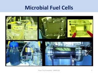 Microbial Fuel Cells 
Ihsan Tria Pramanda - 10605103 5 
 