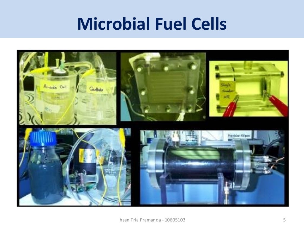 Microbial fuel cell