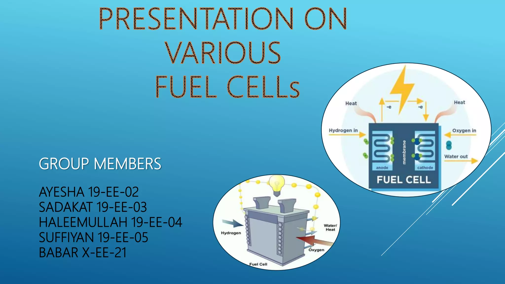 Micro Fuel Micro bial fuel cell (modified) | PPTX