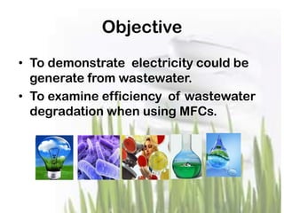 Objective
• To demonstrate electricity could be
generate from wastewater.
• To examine efficiency of wastewater
degradation when using MFCs.
