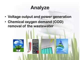 Analyze
• Voltage output and power generation
• Chemical oxygen demand (COD)
removal of the wastewater