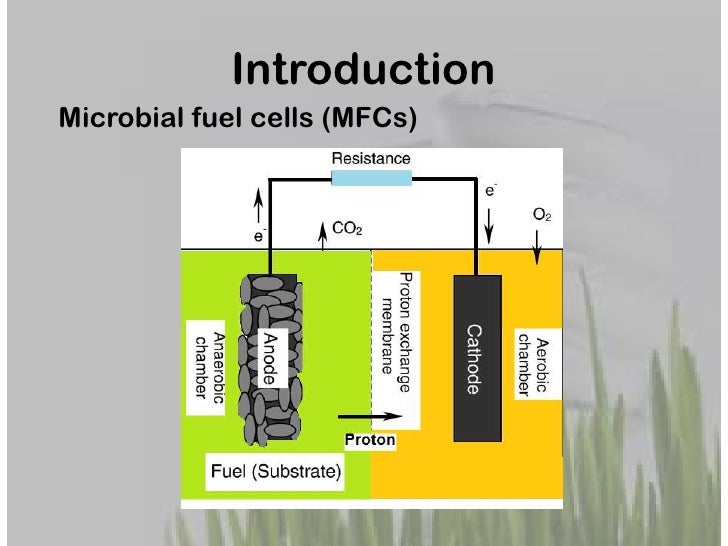 Fuel cell thesis