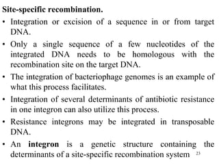 Site-specific recombination.
• Integration or excision of a sequence in or from target
DNA.
• Only a single sequence of a few nucleotides of the
integrated DNA needs to be homologous with the
recombination site on the target DNA.
• The integration of bacteriophage genomes is an example of
what this process facilitates.
• Integration of several determinants of antibiotic resistance
in one integron can also utilize this process.
• Resistance integrons may be integrated in transposable
DNA.
• An integron is a genetic structure containing the
determinants of a site-specific recombination system 23
 