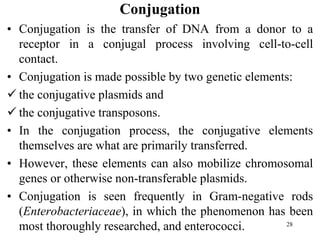 Conjugation
• Conjugation is the transfer of DNA from a donor to a
receptor in a conjugal process involving cell-to-cell
contact.
• Conjugation is made possible by two genetic elements:
 the conjugative plasmids and
 the conjugative transposons.
• In the conjugation process, the conjugative elements
themselves are what are primarily transferred.
• However, these elements can also mobilize chromosomal
genes or otherwise non-transferable plasmids.
• Conjugation is seen frequently in Gram-negative rods
(Enterobacteriaceae), in which the phenomenon has been
most thoroughly researched, and enterococci. 28
 