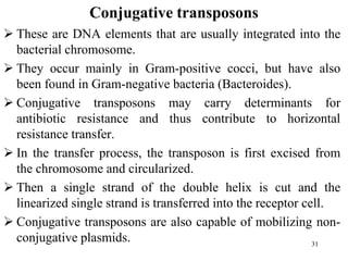 Conjugative transposons
 These are DNA elements that are usually integrated into the
bacterial chromosome.
 They occur mainly in Gram-positive cocci, but have also
been found in Gram-negative bacteria (Bacteroides).
 Conjugative transposons may carry determinants for
antibiotic resistance and thus contribute to horizontal
resistance transfer.
 In the transfer process, the transposon is first excised from
the chromosome and circularized.
 Then a single strand of the double helix is cut and the
linearized single strand is transferred into the receptor cell.
 Conjugative transposons are also capable of mobilizing non-
conjugative plasmids. 31
 