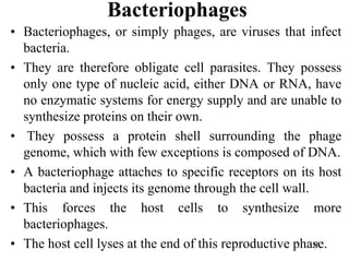 Bacteriophages
• Bacteriophages, or simply phages, are viruses that infect
bacteria.
• They are therefore obligate cell parasites. They possess
only one type of nucleic acid, either DNA or RNA, have
no enzymatic systems for energy supply and are unable to
synthesize proteins on their own.
• They possess a protein shell surrounding the phage
genome, which with few exceptions is composed of DNA.
• A bacteriophage attaches to specific receptors on its host
bacteria and injects its genome through the cell wall.
• This forces the host cells to synthesize more
bacteriophages.
• The host cell lyses at the end of this reproductive phase.35
 