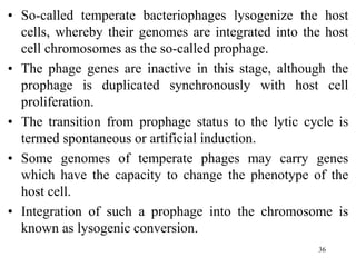 • So-called temperate bacteriophages lysogenize the host
cells, whereby their genomes are integrated into the host
cell chromosomes as the so-called prophage.
• The phage genes are inactive in this stage, although the
prophage is duplicated synchronously with host cell
proliferation.
• The transition from prophage status to the lytic cycle is
termed spontaneous or artificial induction.
• Some genomes of temperate phages may carry genes
which have the capacity to change the phenotype of the
host cell.
• Integration of such a prophage into the chromosome is
known as lysogenic conversion.
36
 