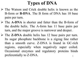 Types of DNA
 The Watson and Crick double helix is known as the
B-form or B-DNA. The B form of DNA has 10 base
pairs per turn.
 The A-DNA is shorter and fatter than the B-form of
the double helix. The A-form has 11 base pairs per
turn, and the major groove is narrower and deeper.
 The Z-DNA double helix has 12 base pairs per turn.
Its sugar phosphate backbone is a zigzag line rather
than a smooth curve. Z-DNA is found in GC-rich
regions, especially when negatively super coiled.
Occasional enzymes and regulatory proteins binds
preferentially to Z-DNA. 5
 