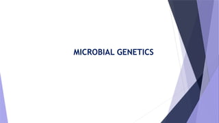 MICROBIAL GENETICS detailed information.pptx