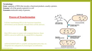 MICROBIAL GENETICS -tranformation and tranduction.pdf
