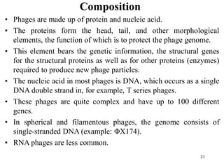 21
Composition
• Phages are made up of protein and nucleic acid.
• The proteins form the head, tail, and other morphological
elements, the function of which is to protect the phage genome.
• This element bears the genetic information, the structural genes
for the structural proteins as well as for other proteins (enzymes)
required to produce new phage particles.
• The nucleic acid in most phages is DNA, which occurs as a single
DNA double strand in, for example, T series phages.
• These phages are quite complex and have up to 100 different
genes.
• In spherical and filamentous phages, the genome consists of
single-stranded DNA (example: ΦX174).
• RNA phages are less common.
 