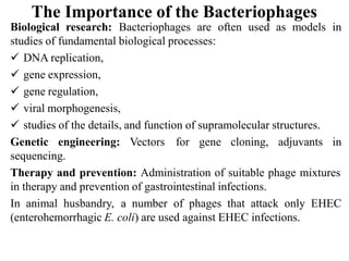 The Importance of the Bacteriophages
Biological research: Bacteriophages are often used as models in
studies of fundamental biological processes:
 DNA replication,
 gene expression,
 gene regulation,
 viral morphogenesis,
 studies of the details, and function of supramolecular structures.
Genetic engineering: Vectors for gene cloning, adjuvants in
sequencing.
Therapy and prevention: Administration of suitable phage mixtures
in therapy and prevention of gastrointestinal infections.
In animal husbandry, a number of phages that attack only EHEC
(enterohemorrhagic E. coli) are used against EHEC infections.
 
