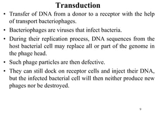 9
Transduction
• Transfer of DNA from a donor to a receptor with the help
of transport bacteriophages.
• Bacteriophages are viruses that infect bacteria.
• During their replication process, DNA sequences from the
host bacterial cell may replace all or part of the genome in
the phage head.
• Such phage particles are then defective.
• They can still dock on receptor cells and inject their DNA,
but the infected bacterial cell will then neither produce new
phages nor be destroyed.
 