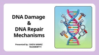 Comprehensive Overview of DNA Damage and Repair Mechanisms in Cells | PPTX