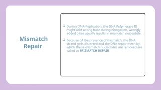 Comprehensive Overview of DNA Damage and Repair Mechanisms in Cells | PPTX
