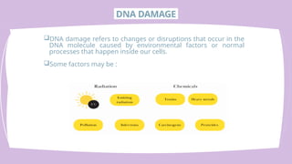 Comprehensive Overview of DNA Damage and Repair Mechanisms in Cells | PPTX