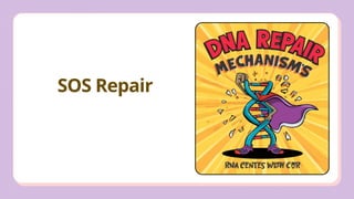 Comprehensive Overview of DNA Damage and Repair Mechanisms in Cells | PPTX