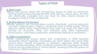 Comprehensive Overview of DNA Damage and Repair Mechanisms in Cells | PPTX