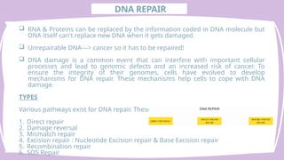 Comprehensive Overview of DNA Damage and Repair Mechanisms in Cells | PPTX