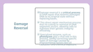 Comprehensive Overview of DNA Damage and Repair Mechanisms in Cells | PPTX