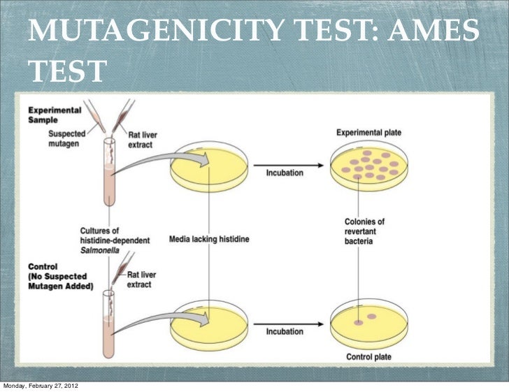 Microbial for exam 3