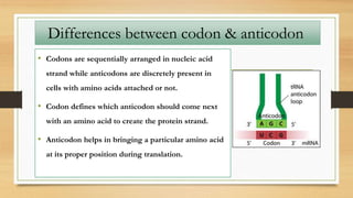 • Codons are sequentially arranged in nucleic acid
strand while anticodons are discretely present in
cells with amino acids attached or not.
• Codon defines which anticodon should come next
with an amino acid to create the protein strand.
• Anticodon helps in bringing a particular amino acid
at its proper position during translation.
Differences between codon & anticodon
 