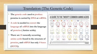 Translation (The Genetic Code)
• The genetic code used to produce
proteins is carried by DNA or mRNA.
• A code is needed to convert the
language of mRNA into the language
of proteins ( Amino acids).
• There are 21 naturally occurring
amino acids found in the structure of
proteins, and mRNA has only 4 bases
(AUCG).
 