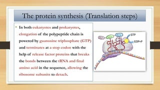 • In both eukaryotes and prokaryotes,
elongation of the polypeptide chain is
powered by guanosine triphosphate (GTP)
and terminates at a stop codon with the
help of release factor proteins that breaks
the bonds between the tRNA and final
amino acid in the sequence, allowing the
ribosome subunits to detach.
The protein synthesis (Translation steps)
 