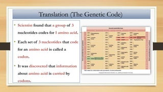 • Scientist found that a group of 3
nucleotides codes for 1 amino acid.
• Each set of 3 nucleotides that code
for an amino acid is called a
codon.
• It was discovered that information
about amino acid is carried by
codons.
Translation (The Genetic Code)
 